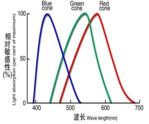 蓝色绿色红色波峰